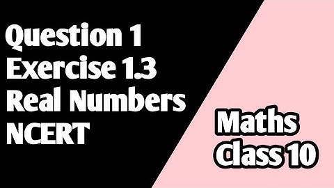 Q1 Exercise 1.3 | Class 10 Maths | Chapter 1 | NCERT Solution | Real Numbers |