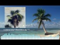 Maple Syrup - Vacation LP Snippet (Pre-order for vinyl release!)