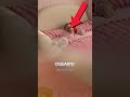 A REAÇÃO DESSA BEBÊ FOI FOFA DEMAIS