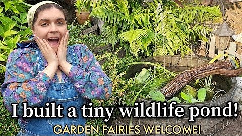 🌿 I Built a Tiny Wildlife Pond | Garden Fairies Welcome 🧚‍♀️✨