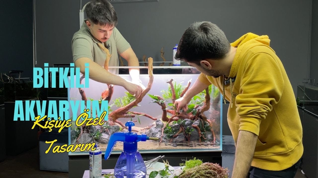 Doğal Tasarımlı Akvaryum Kurulumu 90x45x45(h) Planted Aquarium