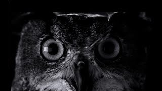 Night Mode | A Deep Dive | Chandan Shastri screenshot 1