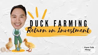 Duck Farming Return on Investment ROI Philippines | Pekin Duck