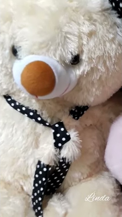 Story WA Boneka