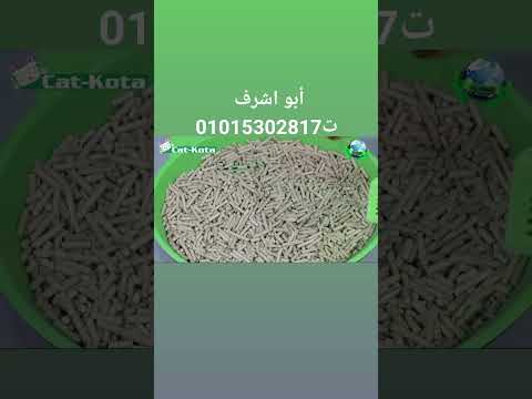 رمل قطط خشب
