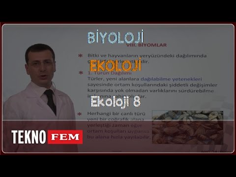 YGS-LYS BİYOLOJİ - Ekoloji 8