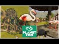 Biggest Enclosure Yet! | Planet Zoo Ep.8