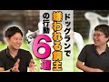 【ドッグランでのマナーとは】嫌われやすい飼主がやりがちな6つの行動