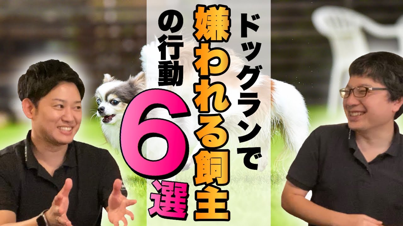 【ドッグランでのマナーとは】嫌われやすい飼主がやりがちな6つの行動