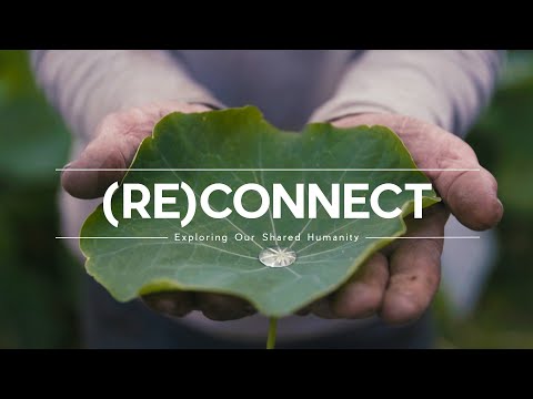 (RE) CONNECT  - Feel A Deep Connection To Wild Places