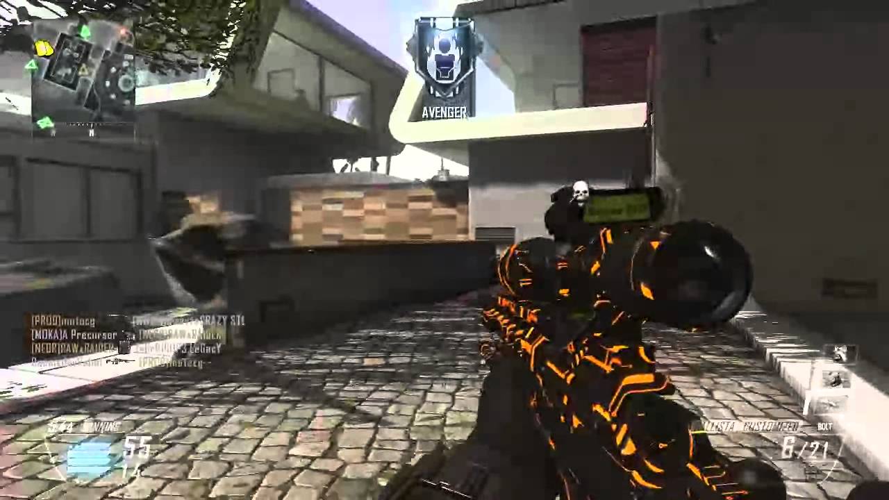 Black Ops II Camo / Ballista Executioner Setup YouTube