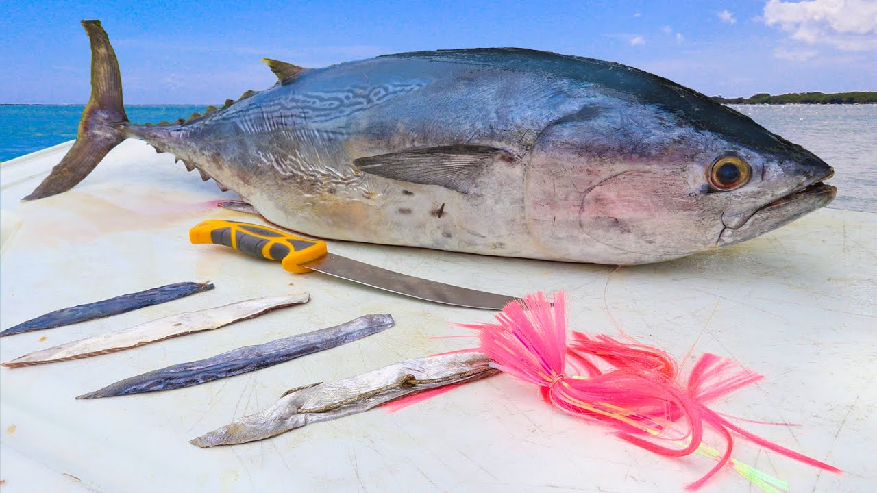 SECRET FREE BAIT Tackle Shops WONT Teach You! How To Make BONITO STRIPS for  Trolling- Strip Bait Rig 