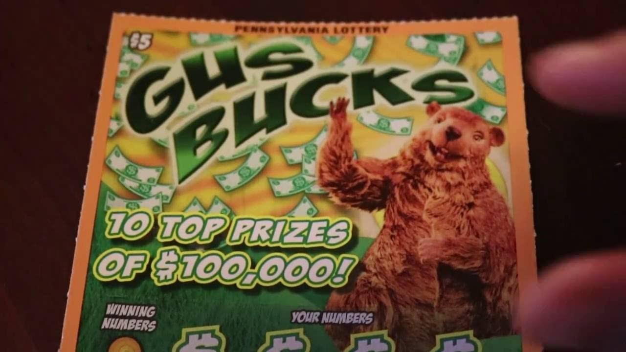 Pa Lottery Gus Bucks Youtube