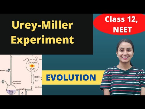 Video: Ko pierāda Millera Urija eksperiments?