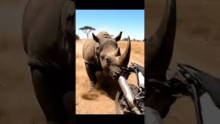 Rhino Caught The Motorcycle And Sent The Rider Flying 😨 | #shorts #viral #shortsfeed