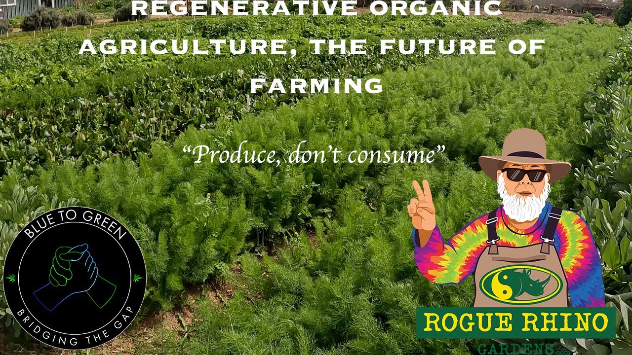 Organic Regenerative Agriculture: The Future of Sustainable Farming ...
