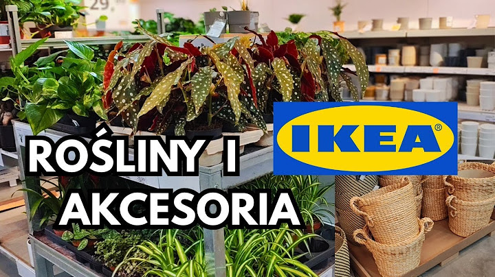 IKEA | New Plants | Accessories | | Current Offer