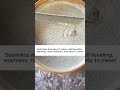 Polyurethane Spray Foam Insulation | Application Demo 🌍🏠