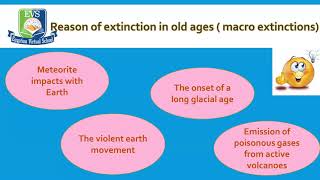 ملخص لحصة ساينس جريد 8....Extinction summary