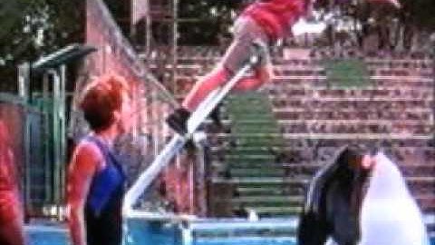 Free Willy I will always return