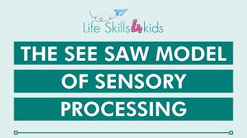 The See Saw Model of Sensory Processing