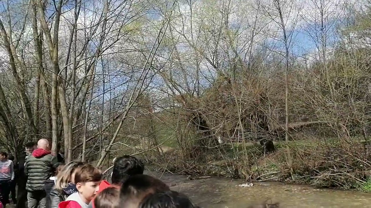 plugar comana de sus partea 2