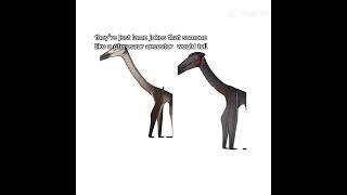 Pterosaur jokes
