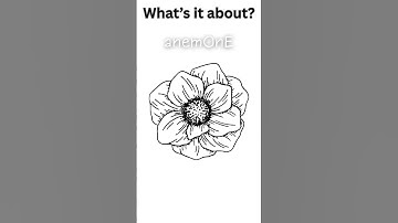SPOILER: Anemone (2025) - What
