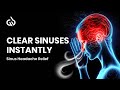 Nasal Congestion : Clearing Sinus Congestion and Headache Relief - Binaural Beats Sound Therapy