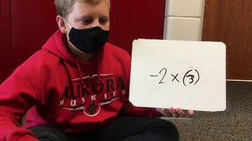 Integer Chips with Sam period 3 2020