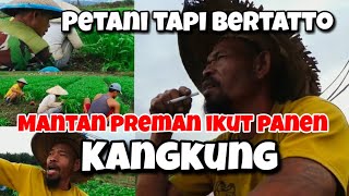 LIHAT AKTIFITAS PAGI BAPAK ABDUL YUSUF, PANEN KANGKUNG || SEKALI PANEN OMSET 1,2JT || Joss glondoss