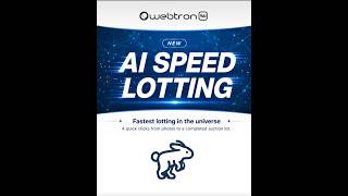 AI SPEED LOTTING in 4 clicks Auction lotters