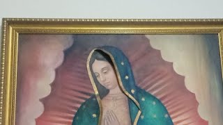Day 6 Novena Mary Steps on the Serpent's Head