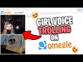GIRL VOICE TROLLING THIRSTY GIRLS ON OMEGLE 🤤