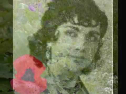 ترانه نرگس شیراز زنده یاد شمس