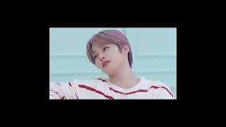 Famous Minsung being painfully obvious Profile