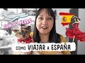 COMO VIAJAR CON TU PERRO A ESPAÑA - Aracelli World