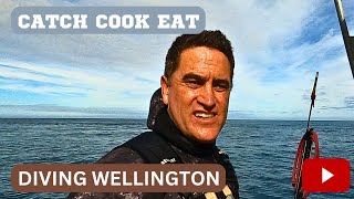 Diving Catch and Cook New Zealand