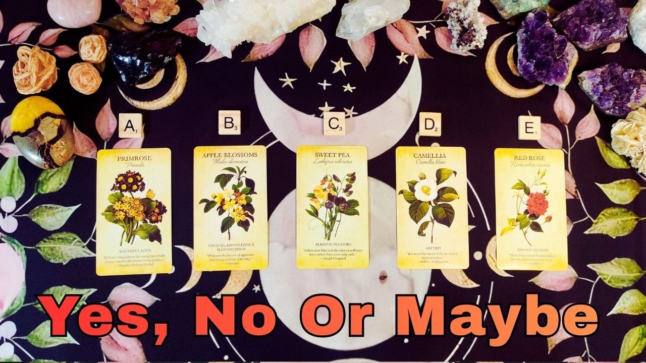 Pick a Card Yes or No Tarot Reading | Situation, Outcome, Advice