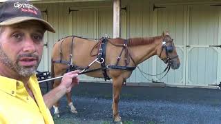 Single Horse Hitching Sequence