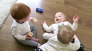 Triplet Brawl Ends In Tears!