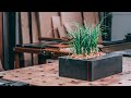 DIY Concrete Succulent Planter with Wood Inlay