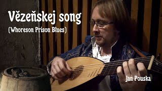 Vězeňskej song (Mou kobku teď mi zamkni hned) | Whoreson Prison Blues from The Witcher - Jan Pouska