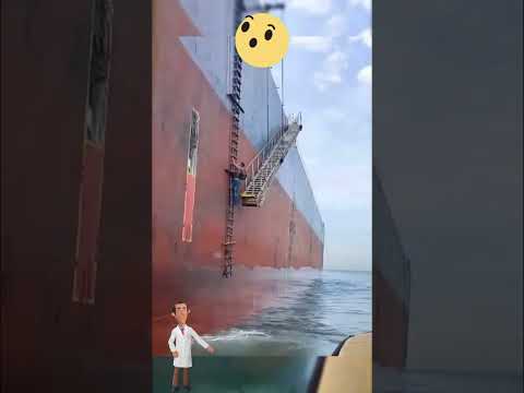 هل العمل على السفن خطر حق ا مغامرات Facts Shortsvideo