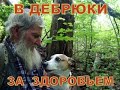 В Дебрюки за здоровьем