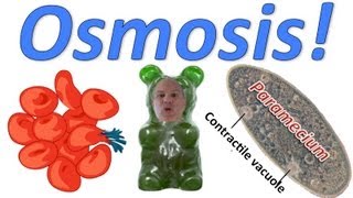 Osmosis! Rap Science Music Video