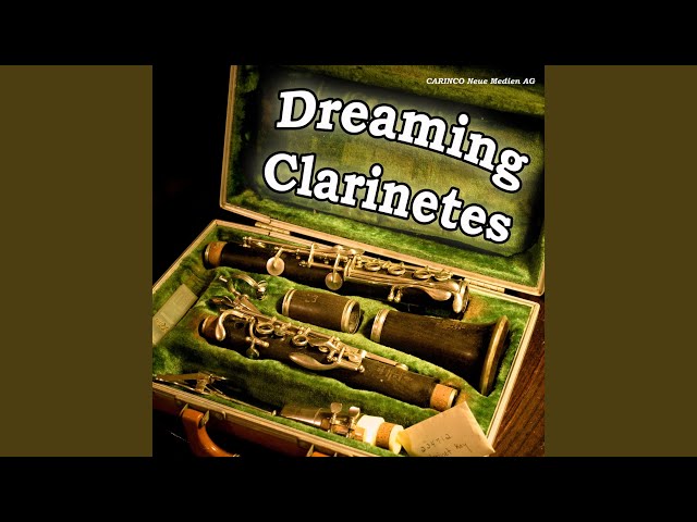 The Clarinet Moods - Autumn Of My Life