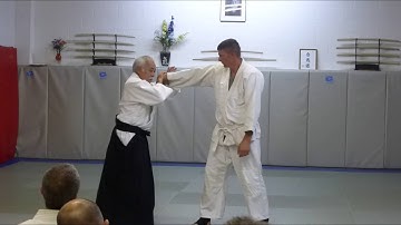 Takeguchi Shihan at Allegheny Aikikai, July 16th 2016 - 01