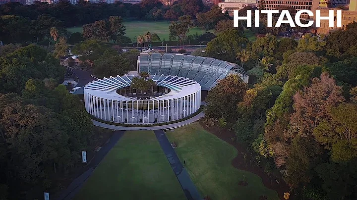 Hitachi’s pioneering technology is helping us unravel the honeybee collapse mystery. - Hitachi