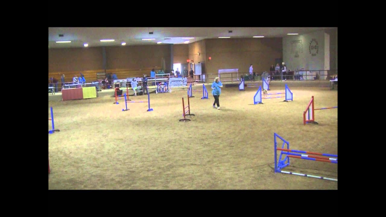 Joni and Amy College Station Station 3-30-13